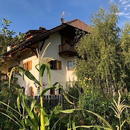 Birbamergut Longostagno Esterno foto
