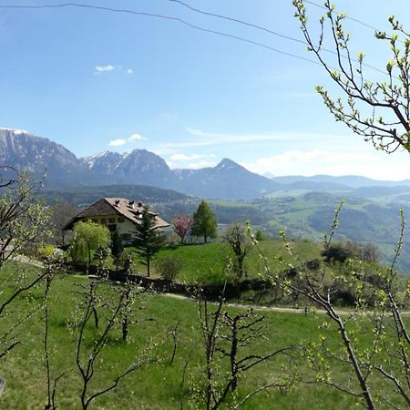 Birbamergut Longostagno Esterno foto
