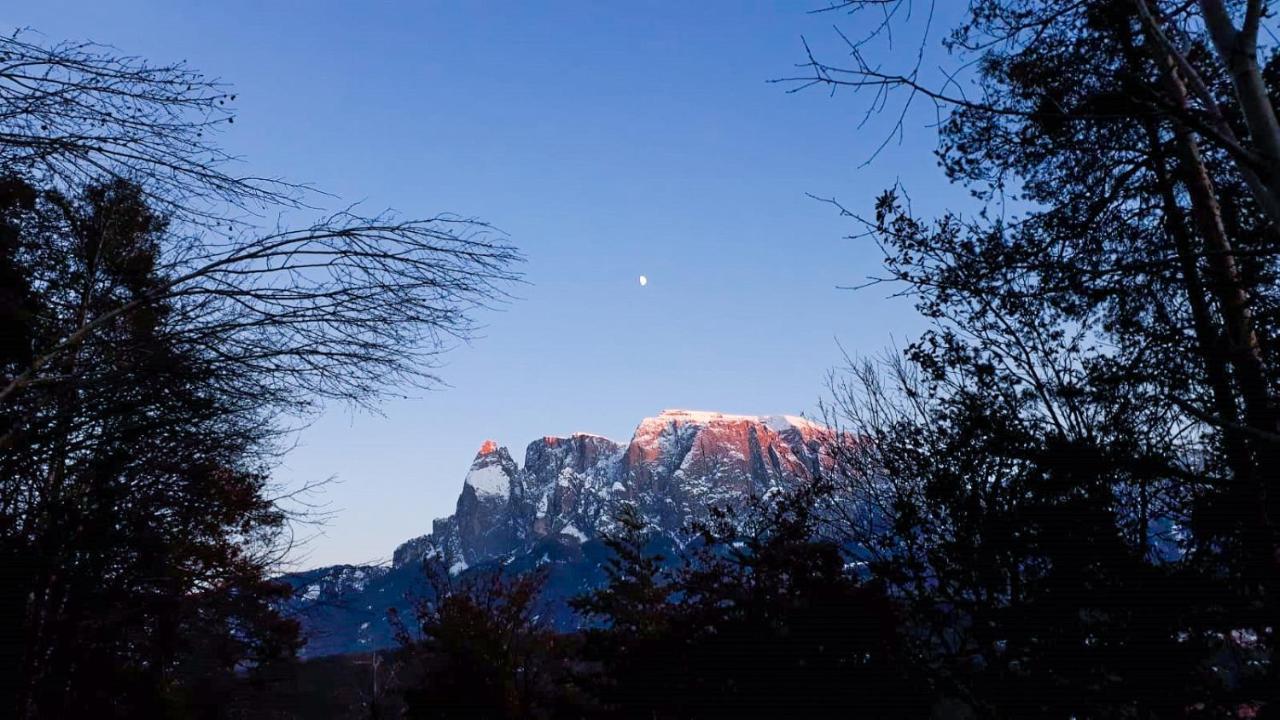 Birbamergut Longostagno Esterno foto