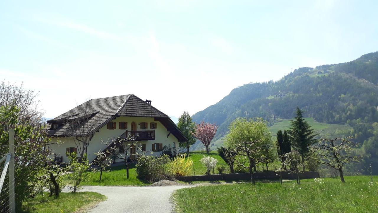 Birbamergut Longostagno Esterno foto