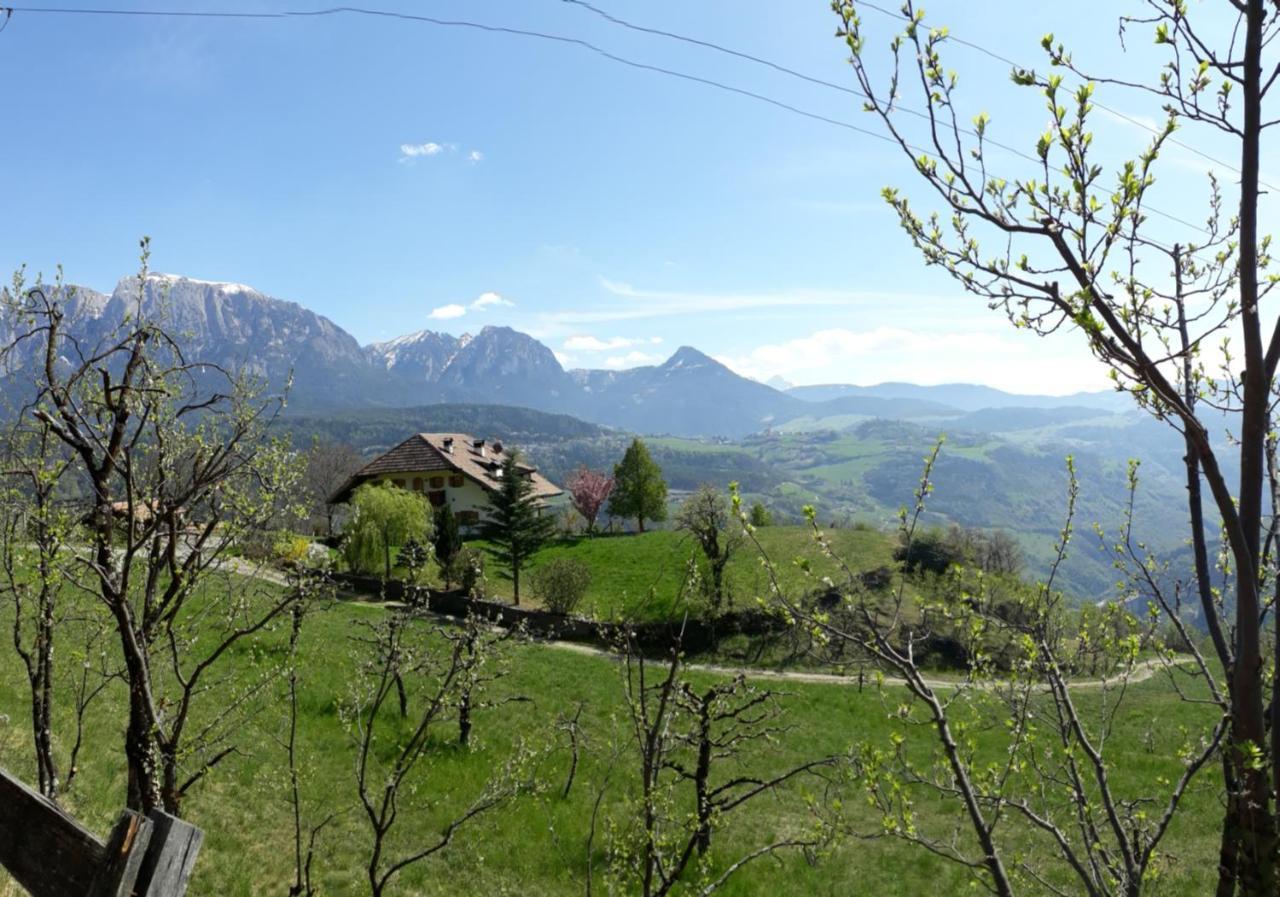 Birbamergut Longostagno Esterno foto